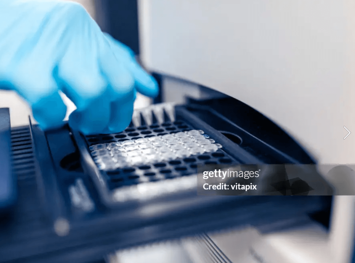 PCR Plates